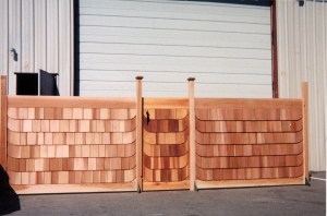 Boards Beyond Recycled Fence